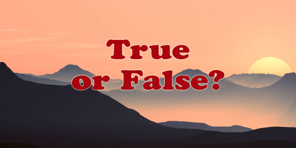 The True or False Quiz - II