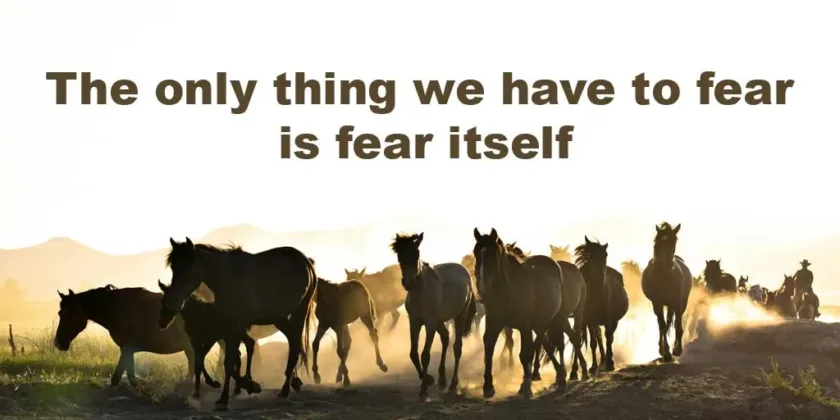 The only thing we have to fear is fear itself