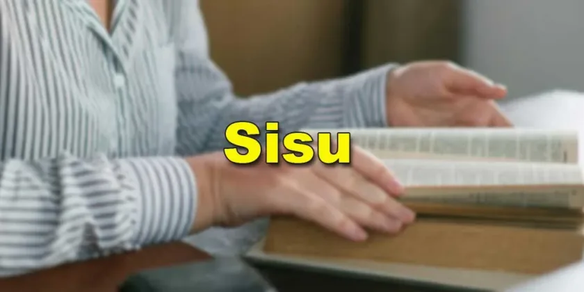 Sisu