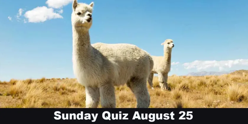 Sunday Quiz August 25