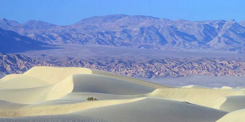 stora öknen som sträcker sig över delar av Kalifornien, Nevada, Utah och Arizona