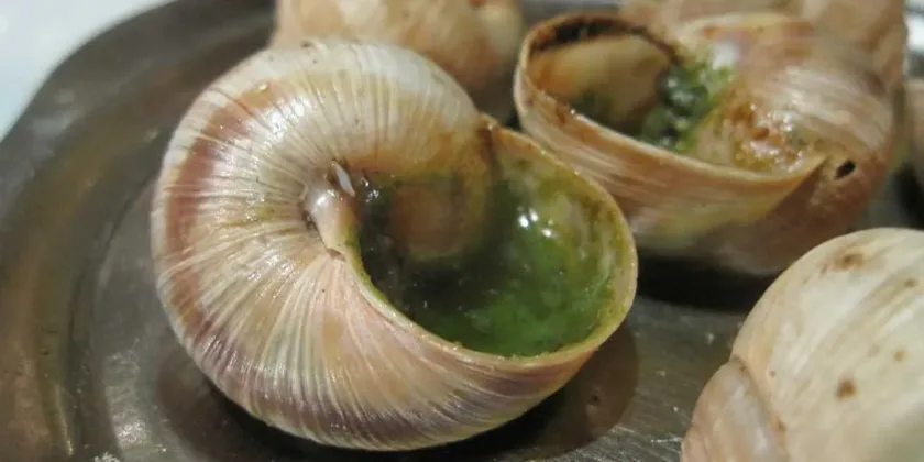 Escargot