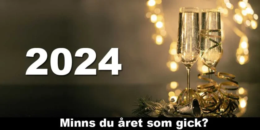 Året som gick - 2024