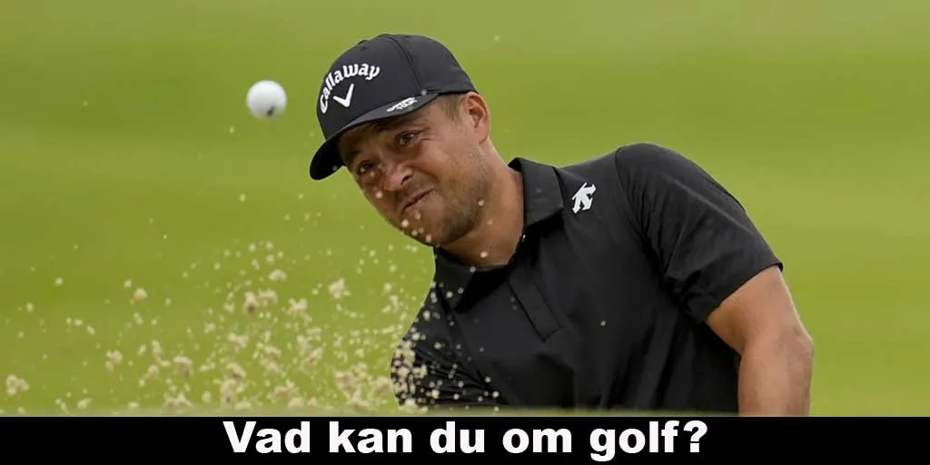 Vad kan du om golf