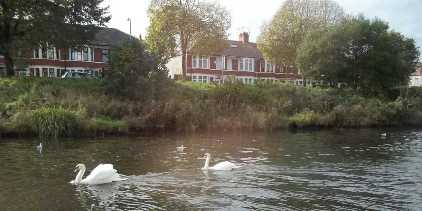 River Taff