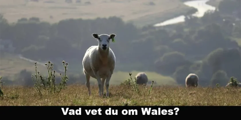 Vad vet du om Wales