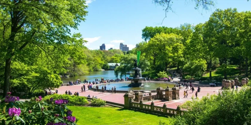 Central Park, NYC