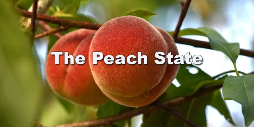 Peach State