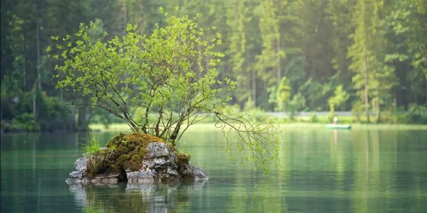 Nature - forest - lake